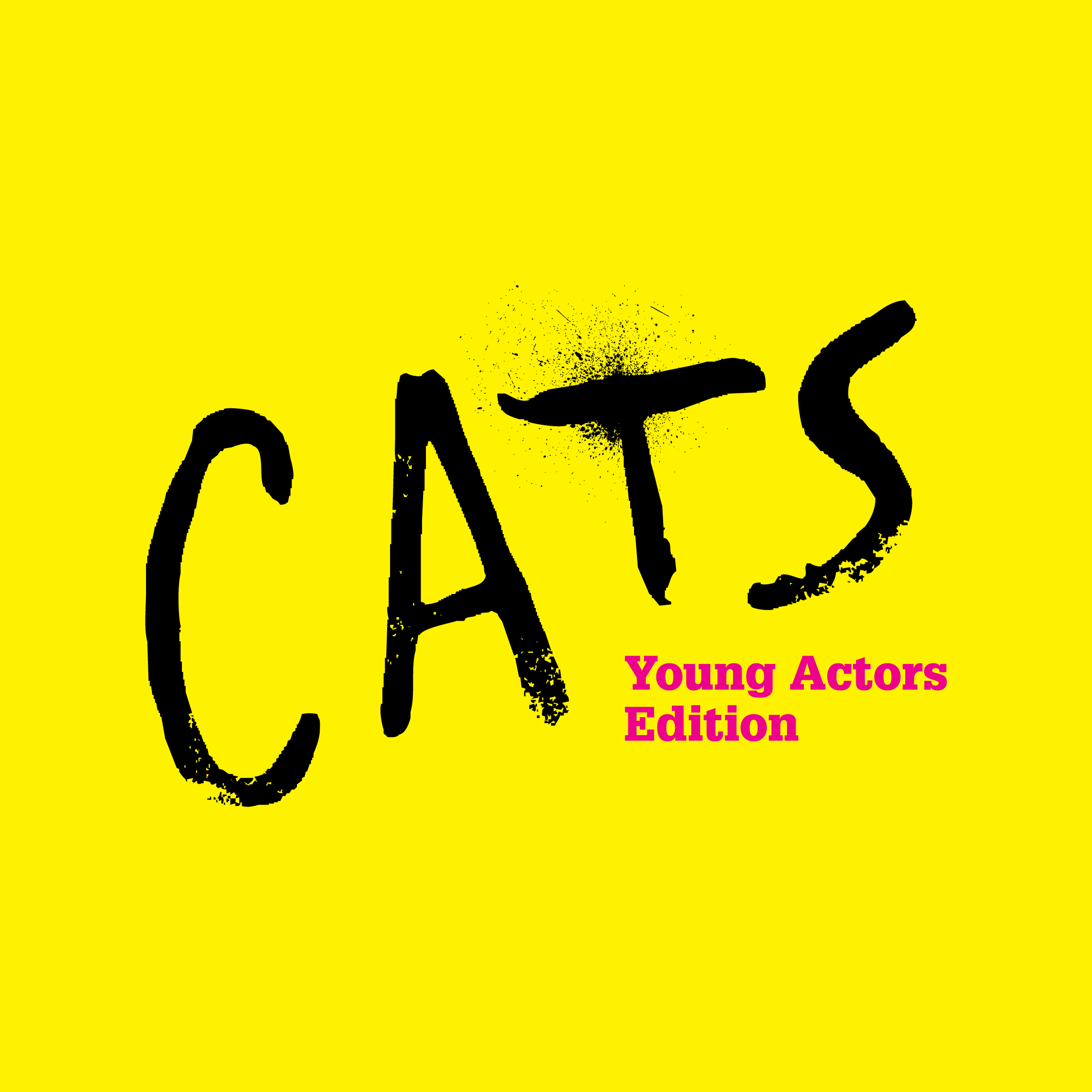 Broadway Montage  Cats the Musical 